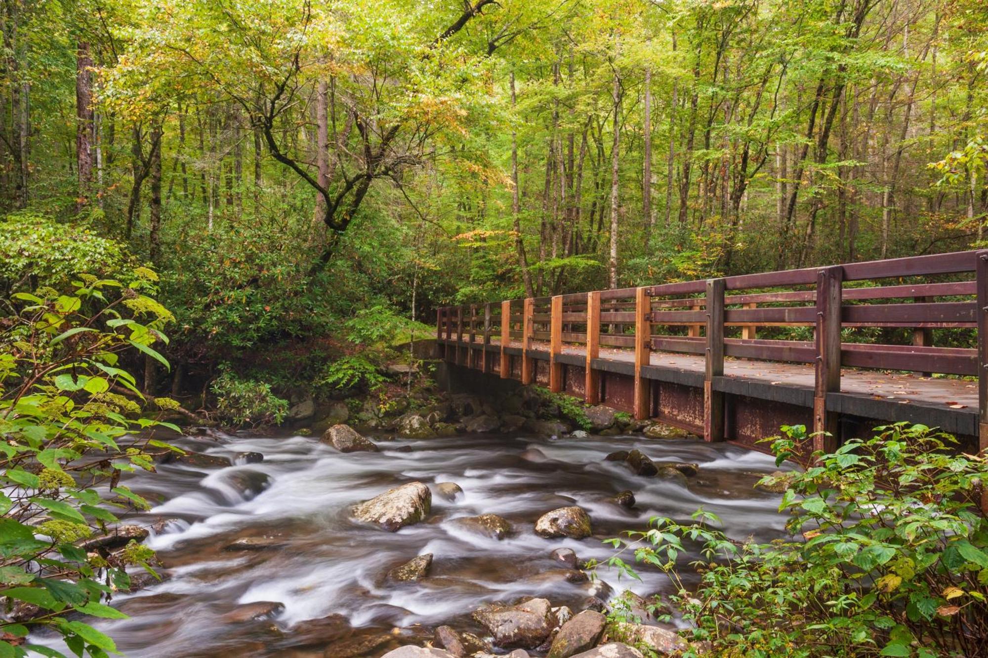 Serenity Heights, Amazing Views, Hot Tub Pool Access, 1089 Free Tickets Each Paid Day, Dollywood Gatlinburg Kültér fotó
